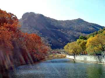 新澳天天开奖资料大全旅游团，toshiba代理